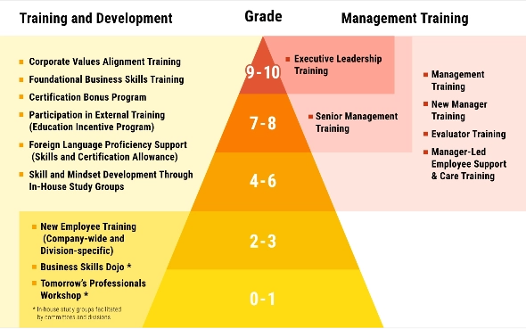 Talent Development Framework Aligned with Functional Competencies