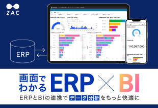 画面でわかるERP×BI