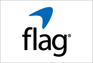 logo_news_flag.jpg